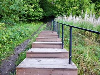 Obraz premium Wooden stairs up in the Park, green foliage.