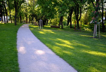 gravel threshing path in city park light sand green lawn and trees trunks slight bend plain