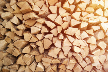 The chopped tree was piled in a pile.