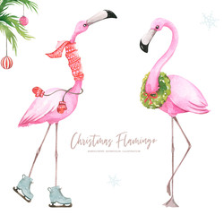 Christmas and New Year illustration. Hand painted watercolor winter flamingo isolated on white background. © Vasile
