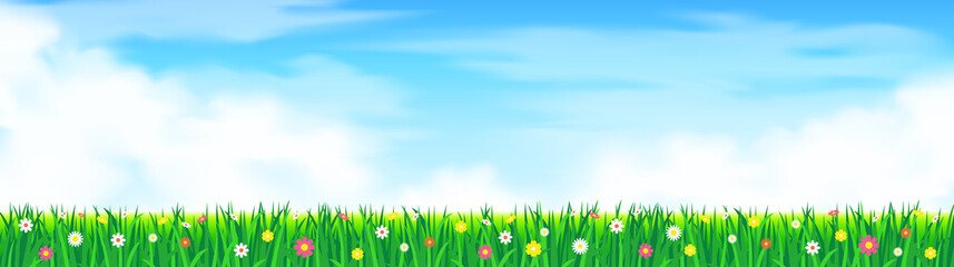 Fototapeta premium green grass lawn field with flowers summer landscape panorama