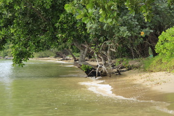Beautiful beach full of green trees. Paradaise beach, Cambodia, koh ta kiev island. 