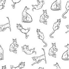 Graphic pattern on a white background from cats drawn in a realistic style as an ink drawing.