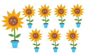 Set of sunflower in a pot. Sunny flowers with seeds. Set of emotions. Vector editable illustration
