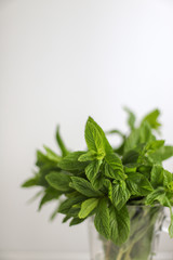 fresh mint leaves