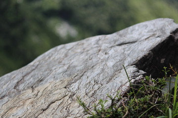 old stone wall