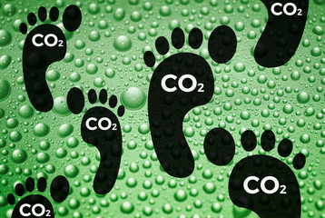 Carbon footprint, sustainable development, 
