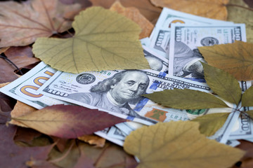 .image of money on leaves background on the table close-up..