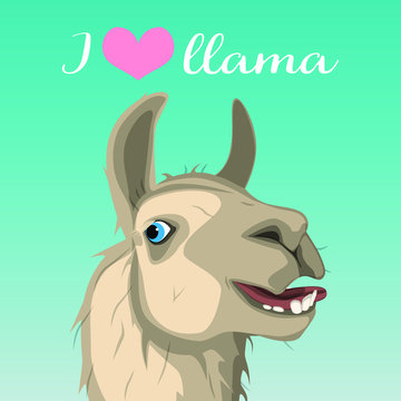 Vector image of a llama.I love llama.