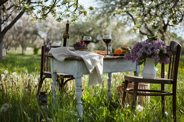 romantic dinner outdoors  in the blooming apple garden