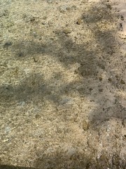 stone wall texture