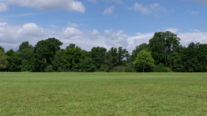 Fototapeta na wymiar Summer scene showing English parkland with trees in background and blue sky