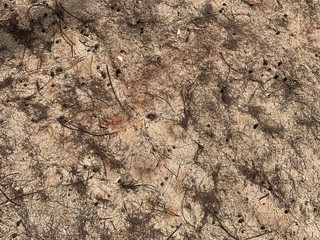 texture of a stone