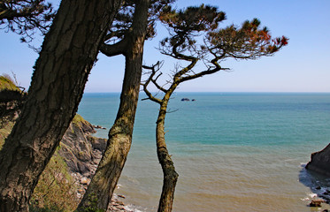 A view out to sea from the cliff in an English country garden in Devon, England.
