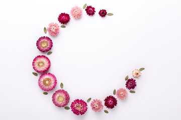 Flower composition. Eucalyptus leaves and dry flowers on white background. Flat lay. Top view. Copy space