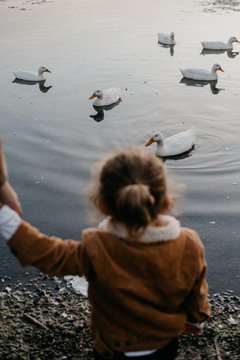 A little girl from behind looking at ducks in a pond