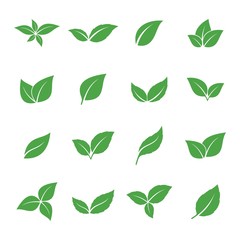 Green Leaf Icon Set. Kinds of Leaves Icon Design on a White Background.