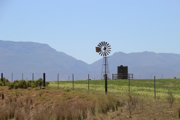 Vast landscape in southern South Africa. Windmill, field, and mountains. Near the Garden Route and Hermanus, Africa.