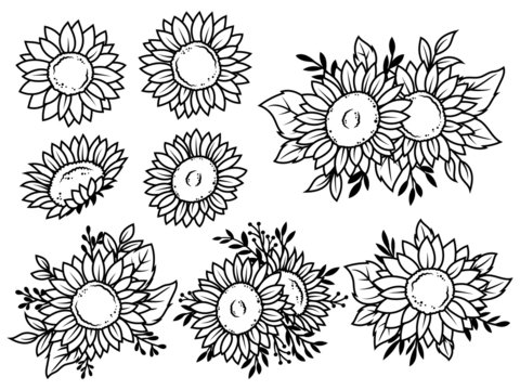 Set of sunflower flowers. Collection of stylized blooming flowers. Black and white illustration on white background. Floral logotype. Tattoo.