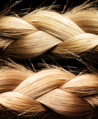 Healthy, shiny hair is braided on a black background. Hair sample.