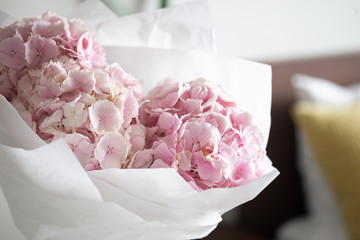 Light tender pink hydrangea bouquet, closeup photo