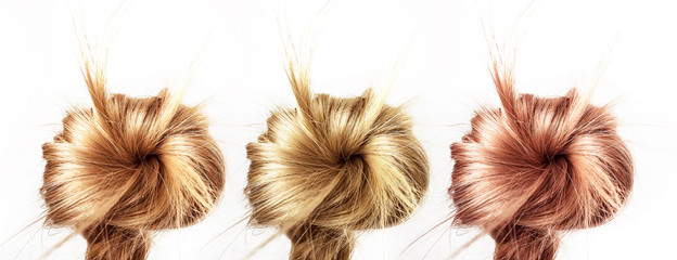 Healthy, shiny hair braided in a bun on a white background. Hair samples of different shades.