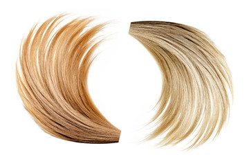 Healthy, shiny hair on a white background. Hair samples of different shades.
