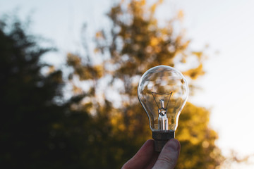 Abstract image of a isolated lightbulb against some out of focus trees and sky, thought concept