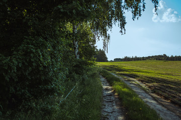 Fototapeta premium Summer sunny landscape in the countryside outside the city