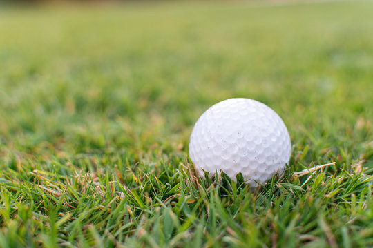 White golf ball sat in green grass with lots of space for text and images