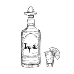Mexican Food and drink. Hand drawn tequila with wineglass and lime in sketch style isolated on white. Hand made lettering. Vector engraving illustration for menu designs.