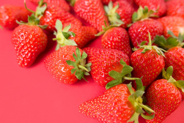 Ripe juicy orgaic strawberries on a red background.