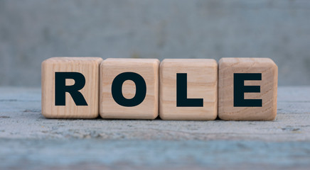 ROLE word on cubes on an old gray background with cactus