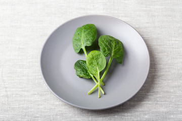 Fresh spinach leaves on a grey plate on linen tablecloth