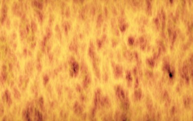 Abstract Fire Background with Flames. Wall of Fire. 3D illustration