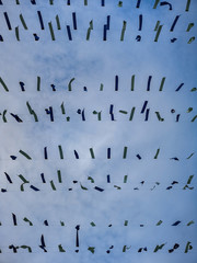 Material stripes hanged on lines over market square in Poznan
