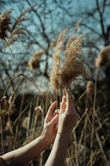 woman hand or hands in nature