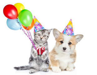 Fototapeta na wymiar Kitten and corgi puppy wearing party's hats sit together. Cats holds guft box and balloons. isolated on white background