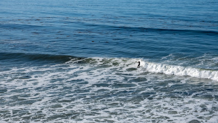 Naklejka premium surfer in the sea and waves at San Luis Obispo, California