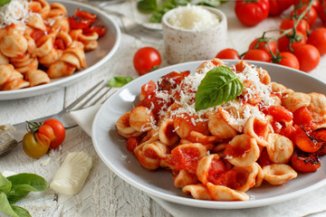 South italian  pasta orecchiette with tomato sauce and cacioricotta cheese