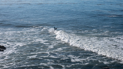 Fototapeta premium surfer in the sea and waves at San Luis Obispo, California