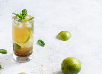 Homemade refreshing mojito cocktail in a tall glass