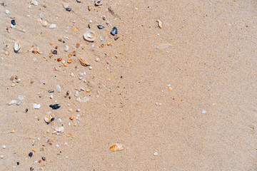 Copy space of sand beach texture abstract background.