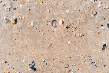 Copy space of sand beach texture abstract background.