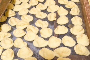 Typical Italian pasta orecchiette, raw, handmade