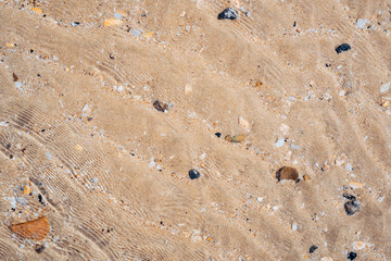 Copy space of sand beach texture abstract background.