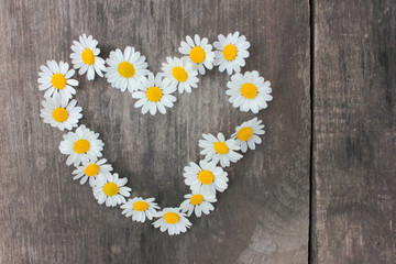 Heart made of white daisies on rustic wooden background. Top view of heart shape chamomile flowers
