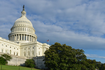 United States Capitol Building - Washington D.C. United States of America