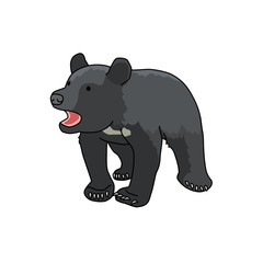 ツキノワグマ(仔熊)