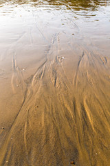 바닷물이 그린 그림